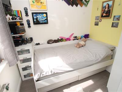 Picture 11